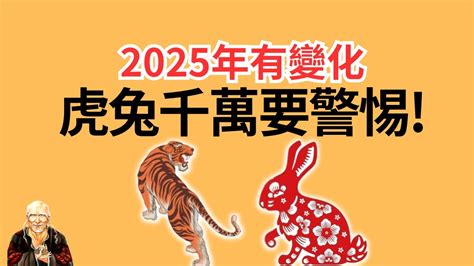 2025年 生肖|2025年生肖運勢解析出爐！乙巳靈蛇年屬狗、屬猴好運難擋 